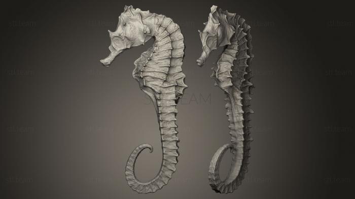 3D model sea horse (STL)